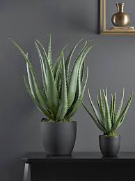 Aloe Vera En Faux Pot Petit Faux Fleurs Plantes Accessoire Decoratif Accessoire Decoratif Fleurs Ho Potted Aloe Vera Plants House Plants Decor