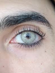 Image result for Gris Beige 1988 ARO