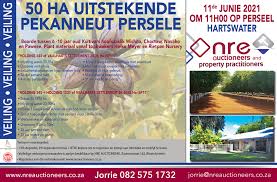 Nre Auctioneers Home Facebook