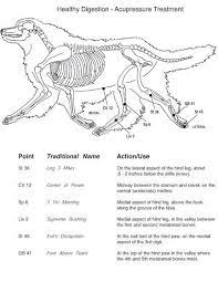 Pin On Pressure Points For Insomnia Healing