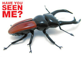 Landlords are legally responsible for what is referred to as the implied warranty of habitability. the circumstances that surround any pest incident also helps to determine who is responsible and what should be done to properly control pests in the residence. Pest Control In The Woodlands One Source Residential Services
