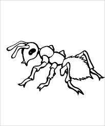 Children's coloring pages of ants. Ant Coloring Pages Coloringbay
