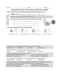 Structure of dna is a double helix structure because it looks like a twisted ladder. Dna Independent Practice Worksheet