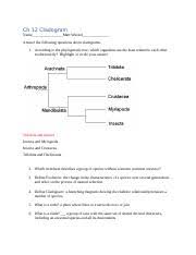 Ch 12 Cladogram Docx Ch 12 Cladogram Name Matt Winstel Answer The Following Questions About Cladograms 1 According To The Phylogenetic Tree Which Course Hero