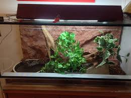 Terrarium tv apk is one of the best tv shows and movies app you might be ever going to install. Arduino Controlled Terrarium 3 Steps Instructables