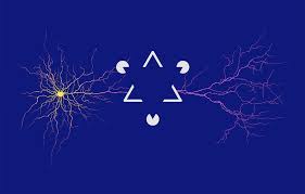 How Patterns In The Brain Mirror What You See Cosmos Magazine Visual Mirror Neuron Visual Cortex