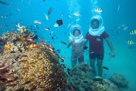 Enjoy The Romantic Strolls At Emerald Beaches And Attend The Exciting Light And Sound Andaman And Nicobar Islands Coral Island Pattaya Honeymoon Tour Packages