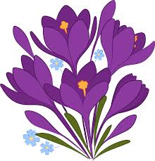 Stunning spring alley with fallen pink flowers at sunrise. Spring Flowers Clipart Free Download Transparent Png Creazilla