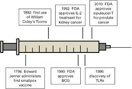 Prostate cancer is one of the most common types of cancer diagnosed in men. Use Of Immunotherapies In Bladder Kidney And Prostate Cancer Download Scientific Diagram