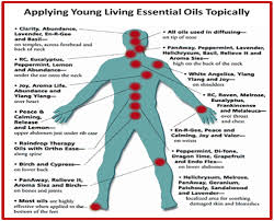 Just A Drop Natural Healing With Essential Oils The