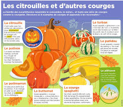 Epingle Par Ecole A La Maison Ressource Sur Mon Quotidien Culture G Enseignement Du Francais Citrouille Apprendre Le Francais