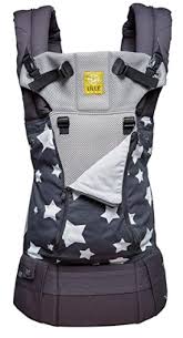 The lillebaby complete is a soft, structured carrier with a variety of seating options for children from newborn to toddlerhood. Best Baby Carriers For Hiking Of 2021 Switchback Travel