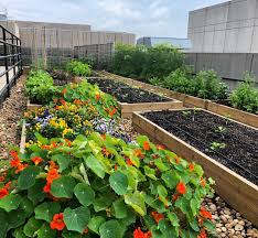 A raised garden for a friend: 26 Easy Diy Ideas For Creating An Urban Garden