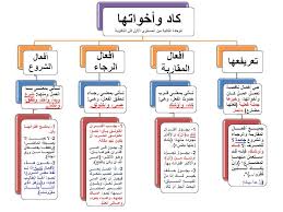 النواسخ فى اللغة العربية الدرس الثالث كاد وأخواتها