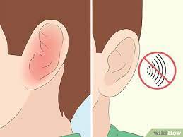A ruptured or perforated eardrum is a hole or tear in the tympanic membrane that separates the middle ear and ear canal. How To Heal A Ruptured Eardrum 15 Steps With Pictures Wikihow