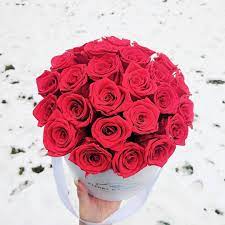 Check spelling or type a new query. Fleurs D Epargne The Saving Flowers Vancouver Flowers Roses Preserved Roses Rose Bucket Box Red Rose Bouquet Rose Bouquet How To Preserve Flowers