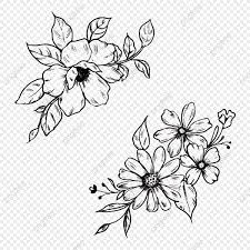 You can download (800x800) kotak hitam png png clip art for free. Gambar Bunga Hitam Dan Putih Png Vektor Psd Dan Clipart Dengan Latar Belakang Transparan Untuk Download Gratis Pngtree