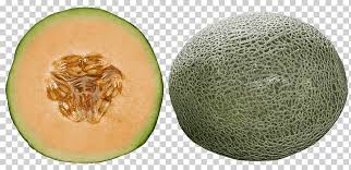 Irina kulikovskay vk, 01.nov 2020 education: Seed Fruit Honeydew Leckat Corporation Sdn Bhd F1 Hybrid Honeydew Cube Food Hybrid Harvest Png Klipartz