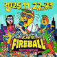 FireBall Fest with WANIMA, Fire EX. and many more event image