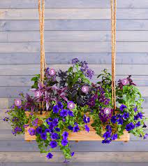 Transform the outside of your house. 30 Bright And Beautiful Window Box Planters Midwest Living