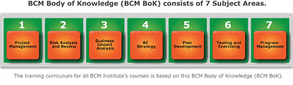 What Is Bcm Body Of Knowledge Bok