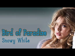 There are many ornithologists who believed that this bird is the most beautiful bird on this planet. Snowy White Bird Of Paradise Lyrics Youtube