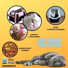 Vitopets
