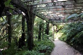 Auckland Domain Wintergardens Fernery Auckland New Zealand Visiting