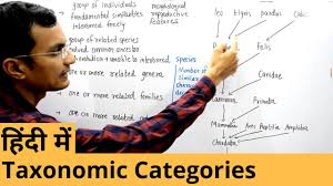 Taxonomic Categories In Hindi Youtube
