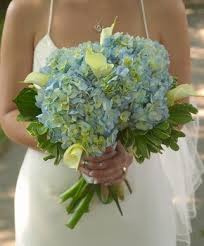 At bluehyd we specialize in creating beautiful floral paper with realistic isolated images taken from my own collection of photographs. Hydrangea Wedding Wedding Ideas Wedding Flowers Hydrangea Bouquet Wedding Hydrangeas Wedding Wedding Flowers Hydrangea