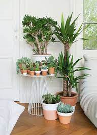Welche feng shui pflanzen fürs schlafzimmer ebenfalls bestens geeignet sind und was sie so besonders macht: Feng Shui Schlafzimmer Einrichtung Nach Den Feng Shui Regeln Feng Shui Schlafzimmer Schlafzimmer Pflanzen Zimmerpflanzen Ideen