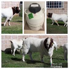 Just dropped off 15 girls to...