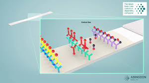 A lateral flow immunoassay, or immunochromatographic assay, is a rapid, convenient test that uses antibodies (or sometimes antigens) to detect specific macromolecules, such as antigens, drug substances, or other proteins. Animation How Does A Lateral Flow Immunoassay Work