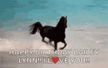 Horse Birthday Meme Gifs Tenor