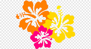 May 22, 2021 · flower side comb moana is made out of artificial hibiscus flower and artificial coloured feathers attached to metal side comb. Orange Yellow And Pink Hibiscus Flowers Illustration Hawaiian Flower Hibiscus Flower Drawings Herbaceous Plant Food Computer Png Pngwing