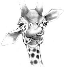 Another Third Of Three Nothing Worth Giraffe Art Giraffe Drawing Giraffe Tattoos