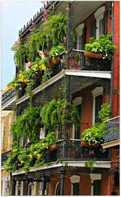 Pin By Eric Bouler Gardner Realtor N On New Orleans French Quarter New Orleans Homes New Orleans Architecture Balcony Garden