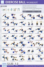Exercise Ball Workouts 35 Super Effective Moves Fitball