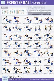 exercise ball workouts 35 super effective moves fitball