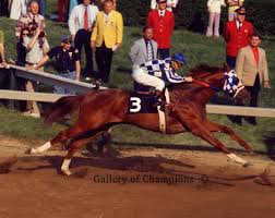 Secretariat 1973 Preakness Stakes 114 Gallery Of Champions