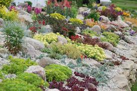 See more ideas about vegetable garden, garden design, garden inspiration. Tips For Creating A Successful Rock Garden Country Landscape Supply