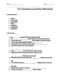 Image result for Cardiovascular Worksheets