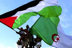 Check spelling or type a new query. Ø§Ù„Ø¬Ø²Ø§Ø¦Ø± ÙˆÙÙ„Ø³Ø·ÙŠÙ† Quot Ø¸Ø§Ù„Ù…Ø© Ø£Ùˆ Ù…Ø¸Ù„ÙˆÙ…Ø© Quot Ù„Ø±ÙØ¶ Quot Ù‡Ø±ÙˆÙ„Ø© Ø§Ù„ØªØ·Ø¨ÙŠØ¹ Quot ÙˆÙƒØ§Ù„Ø© Ø´Ù‡Ø§Ø¨ Ù„Ù„Ø£Ù†Ø¨Ø§Ø¡