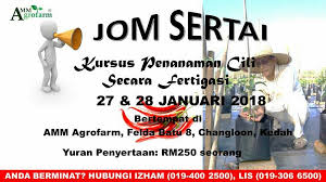 Cili adalah sejenis sayuran berbuah dan tanaman sayur tanah rendah. Pendaftaran Kursus Tanaman Cili Secara Amm Agrofarm Cili Fertigasi Facebook