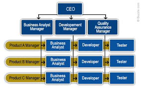 Organogram Organisational Chart Of Health And Safety
