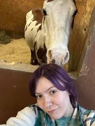 Should I continue writing a book about Spirit and Rain's foal?