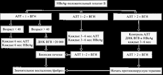 Отвар из кукурузных рыльц