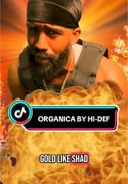 Hip Hop Bible Harold Haney