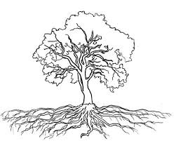 Searching For The Ideal Oak Risovanie Derevev Risunki Duba Kartiny Iz Dereva