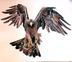 Black And White Flying Eagle Tattoo Golden Eagle Tattoo Design Cool Realistic Drawing Of Flying Eagle Suits For Men Eagle Tattoo Oak Tree Tattoo Golden Eagle